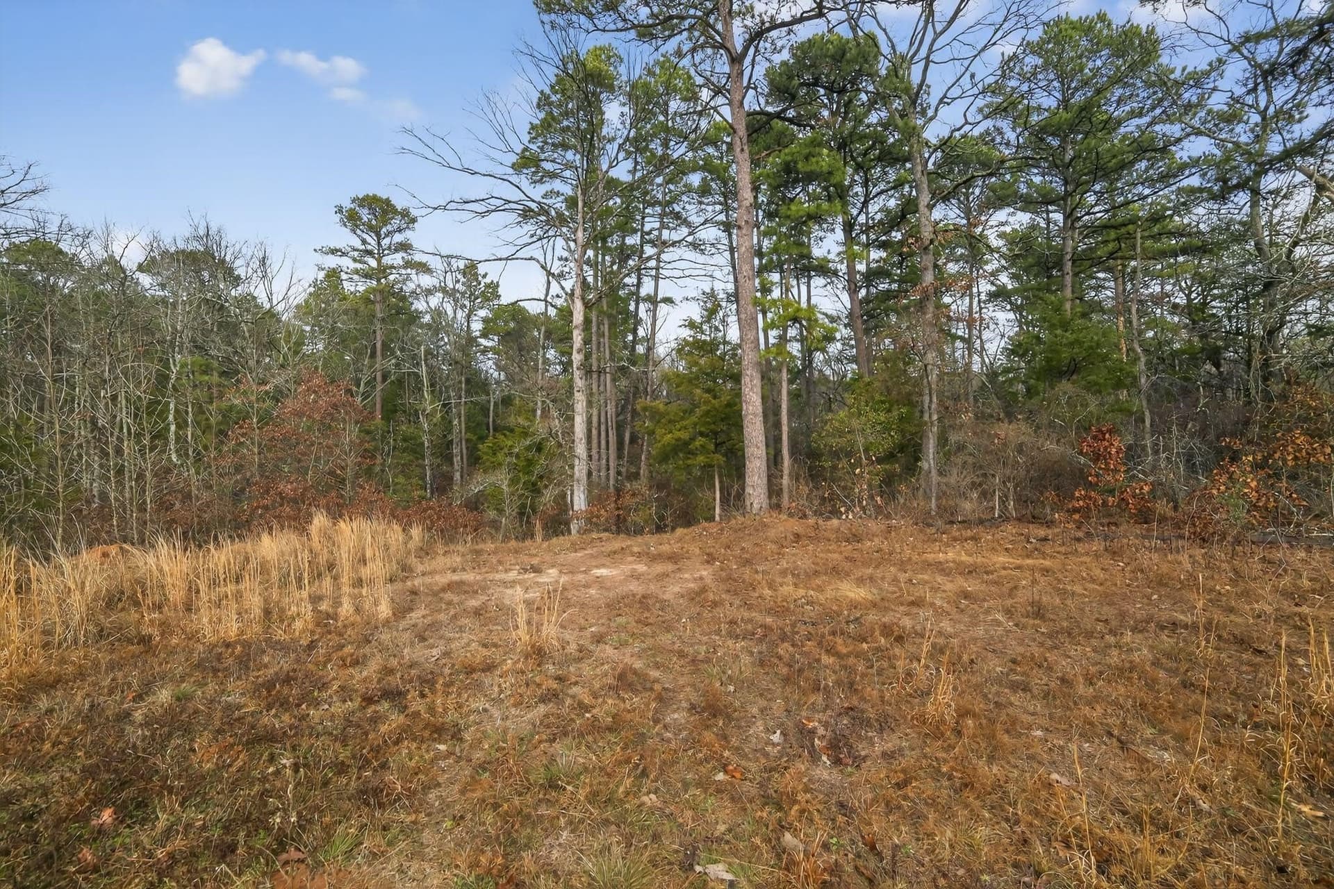 3.84 acres in Wood County - photo 5