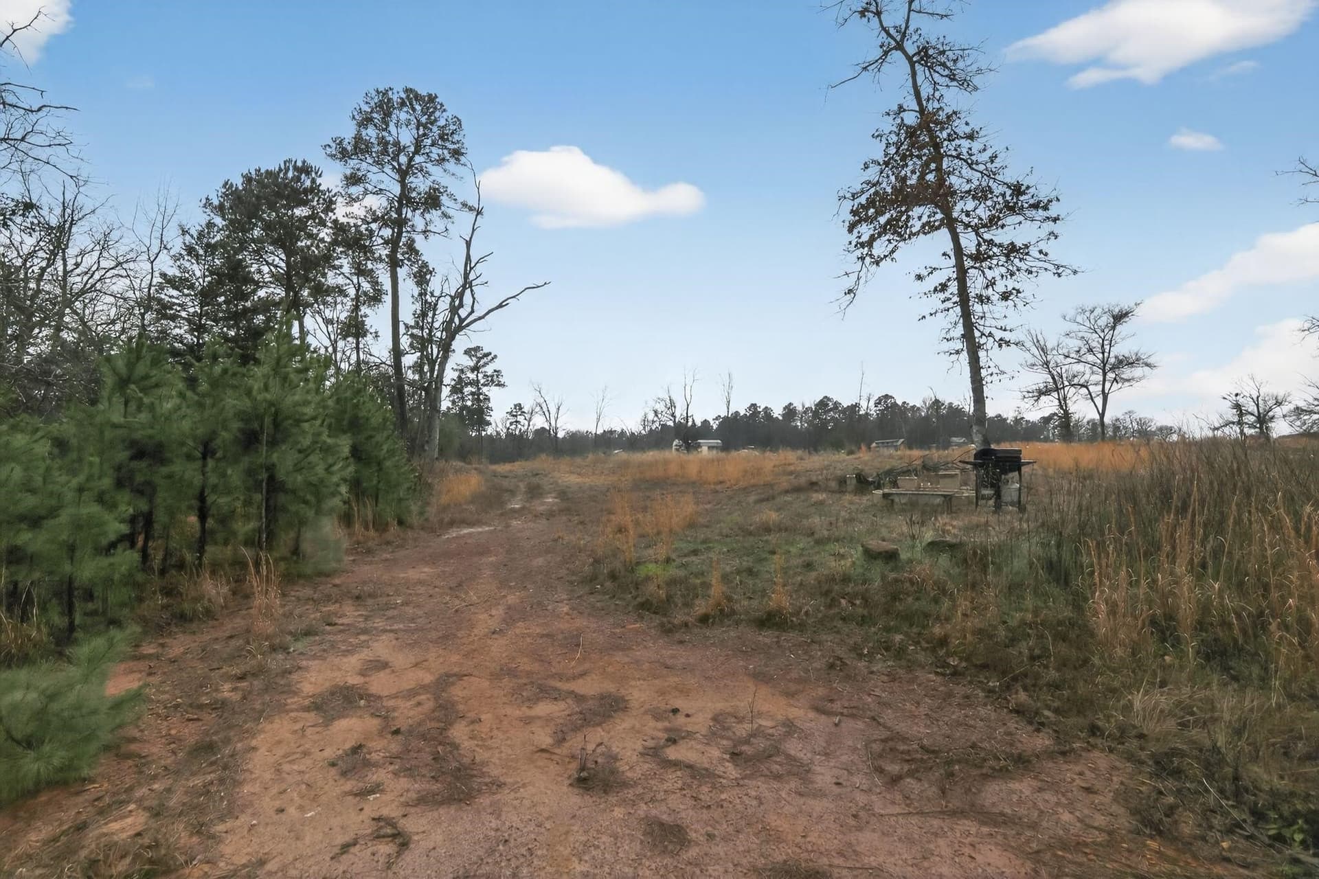 3.84 acres in Wood County - photo 23