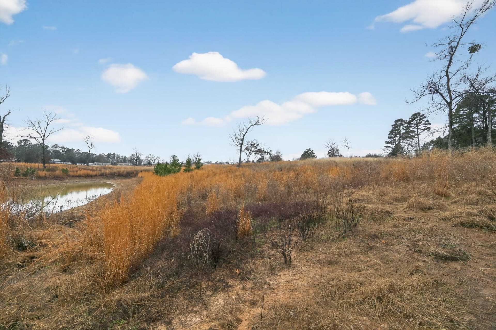 3.84 acres in Wood County - photo 24