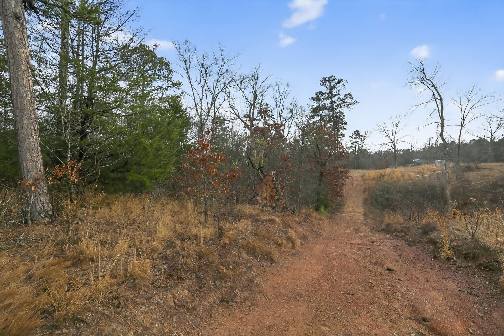 3.84 acres in Wood County - photo 6