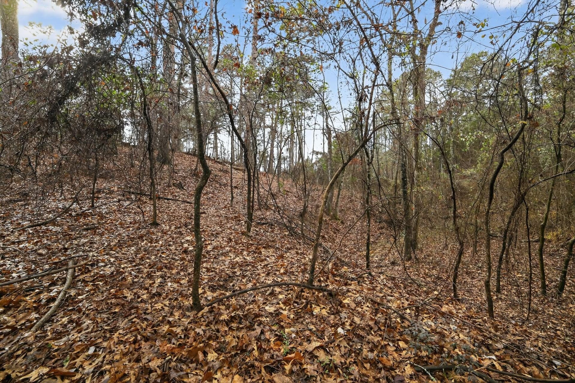 3.84 acres in Wood County - photo 11