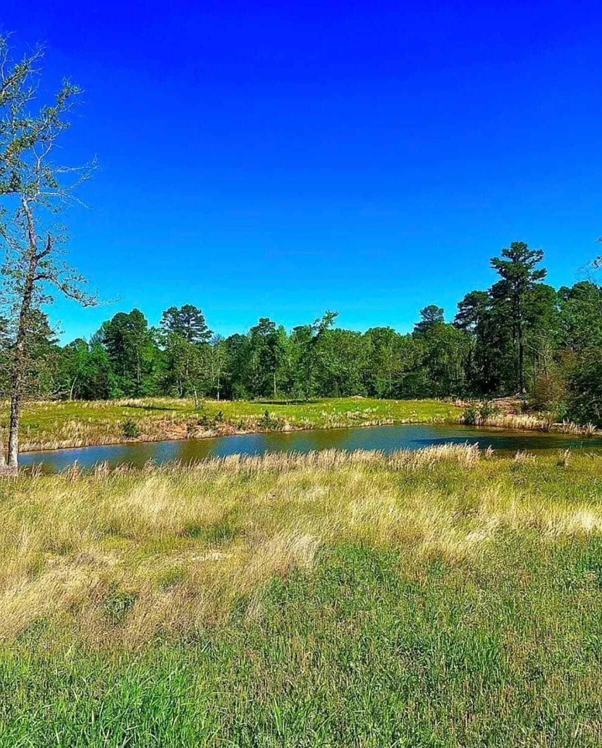 3.84 acres in Wood County