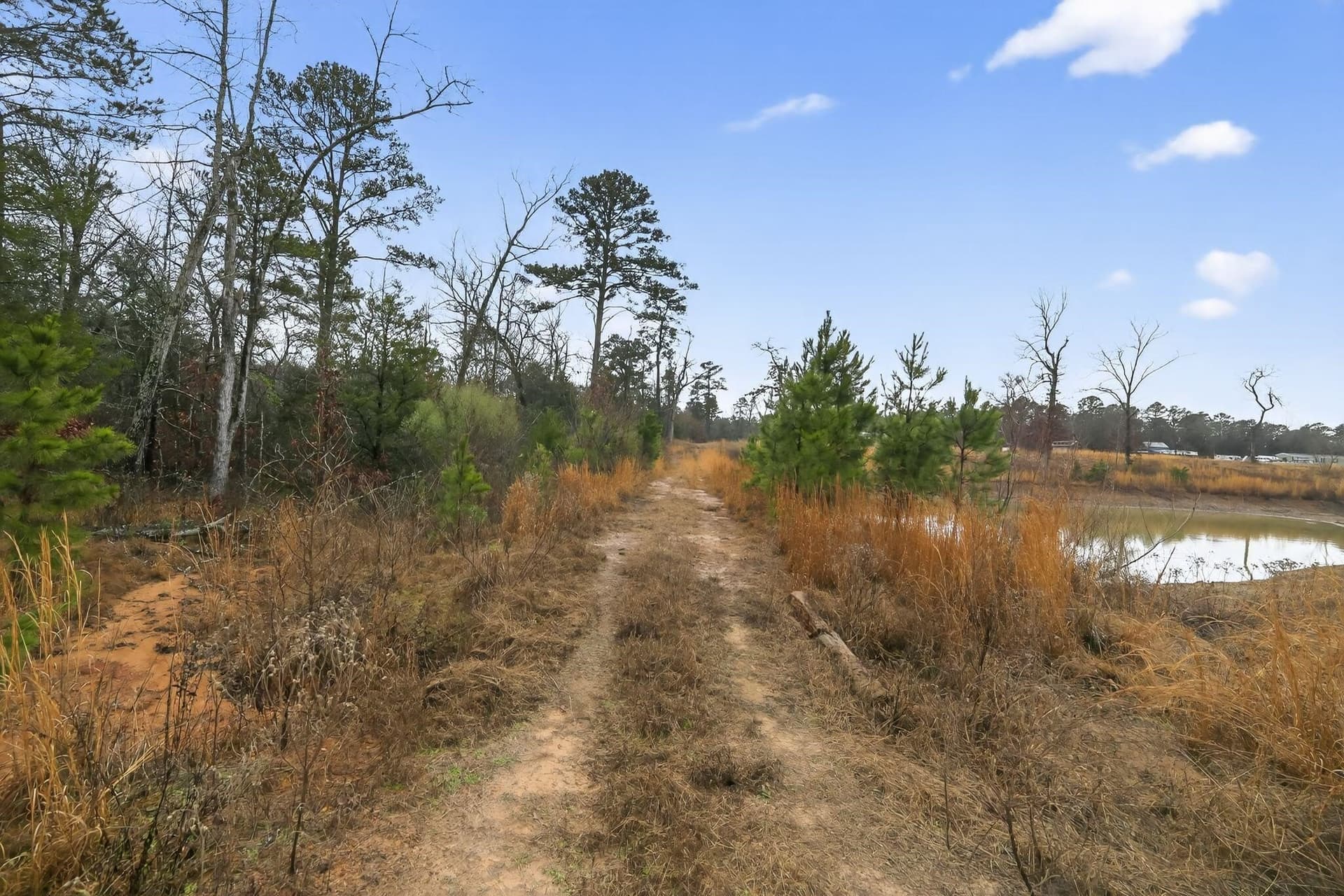 3.84 acres in Wood County - photo 20