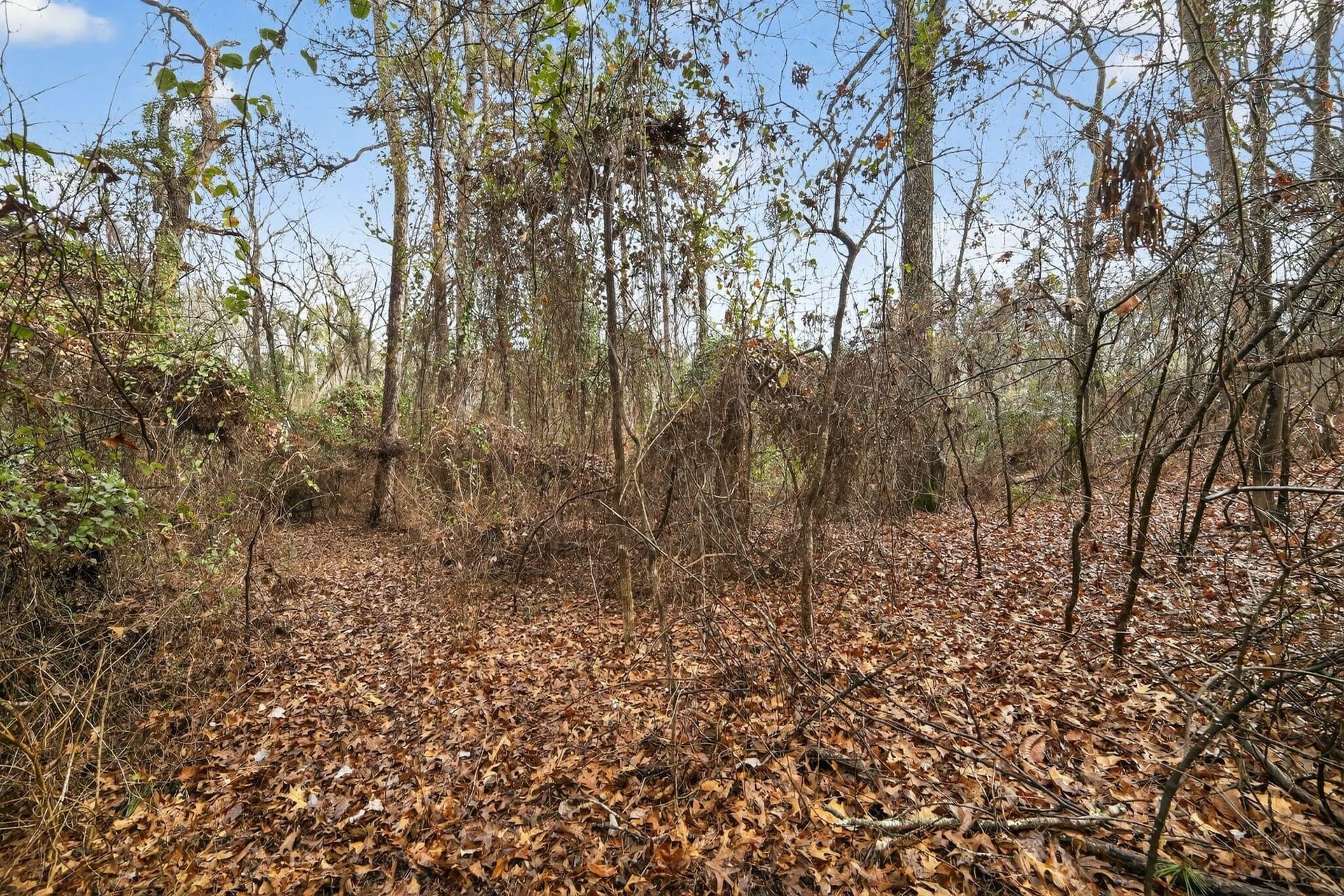 3.84 acres in Wood County - photo 21