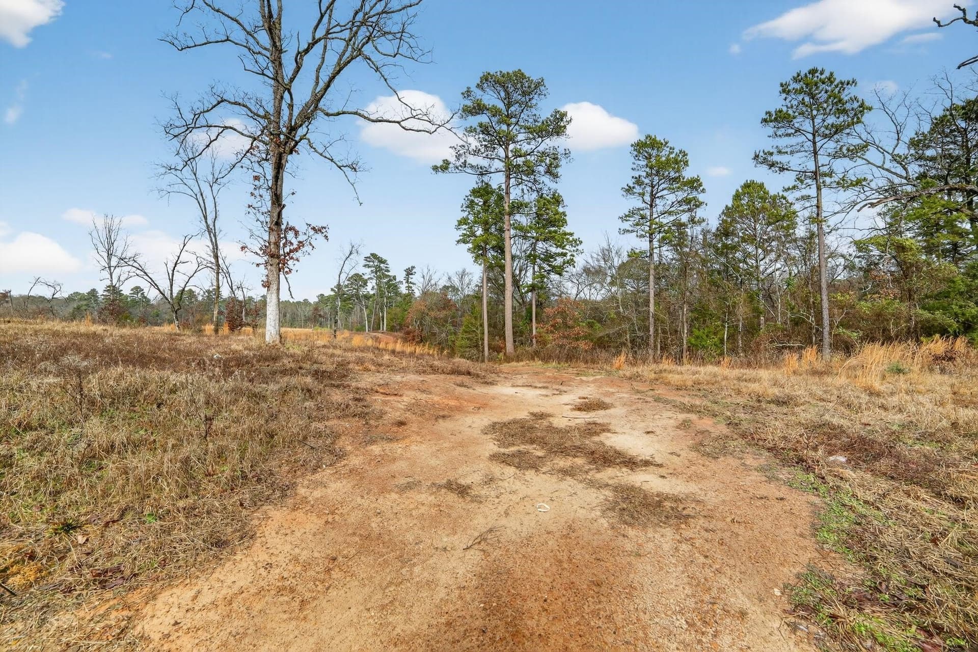 3.84 acres in Wood County - photo 32