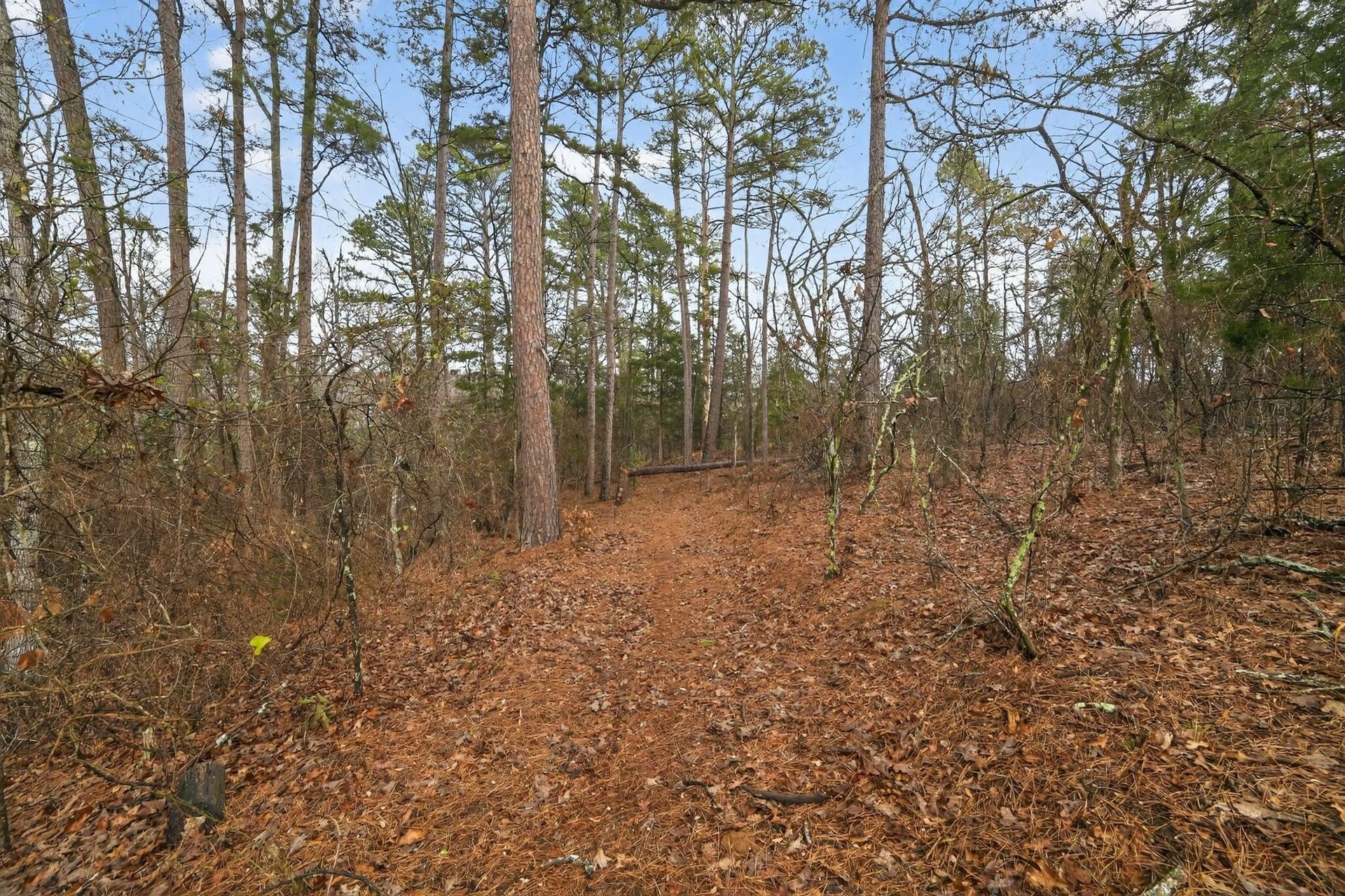 3.84 acres in Wood County - photo 13