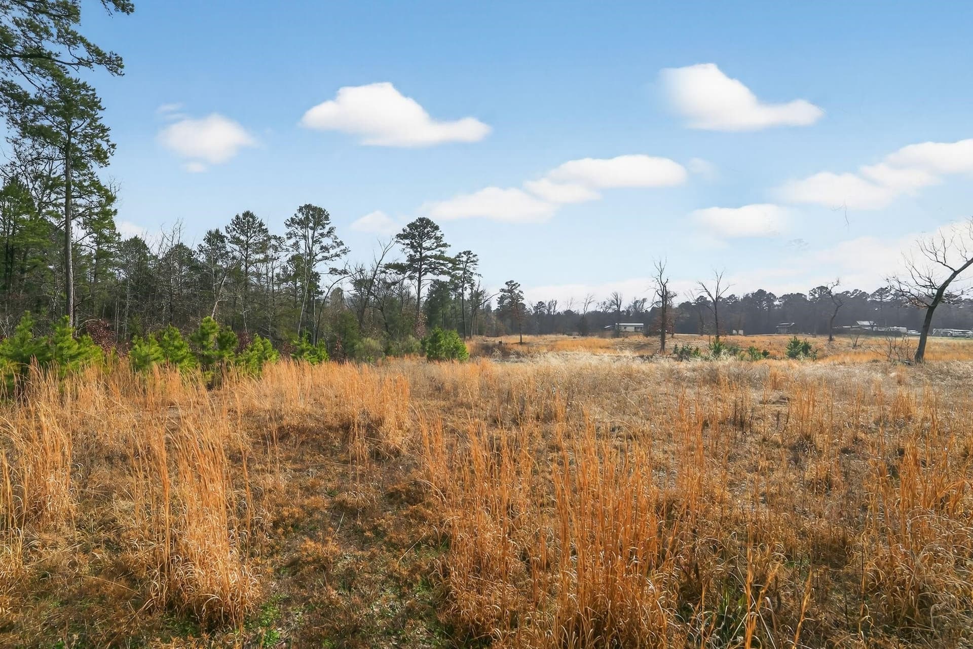 3.84 acres in Wood County - photo 33