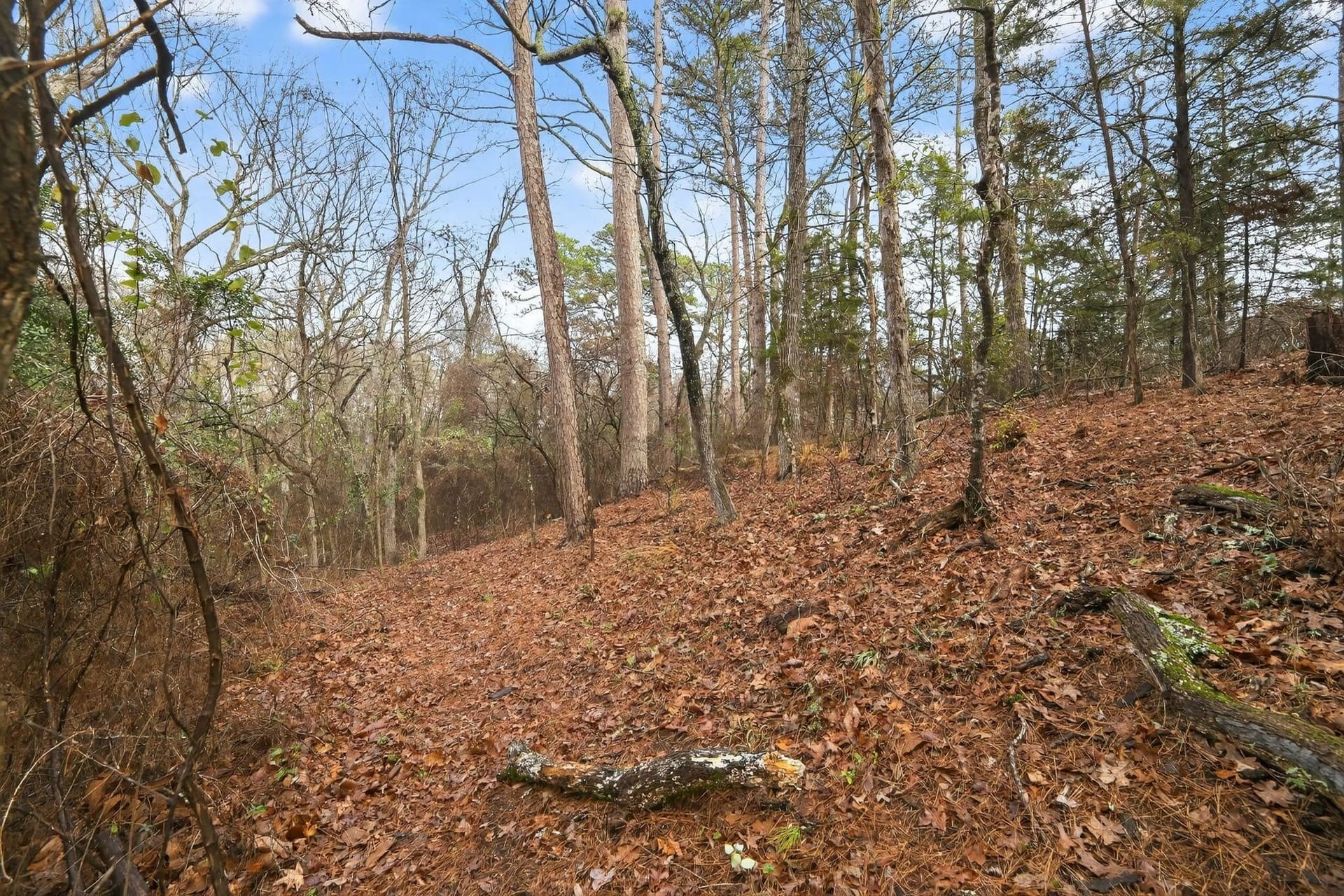 3.84 acres in Wood County - photo 19