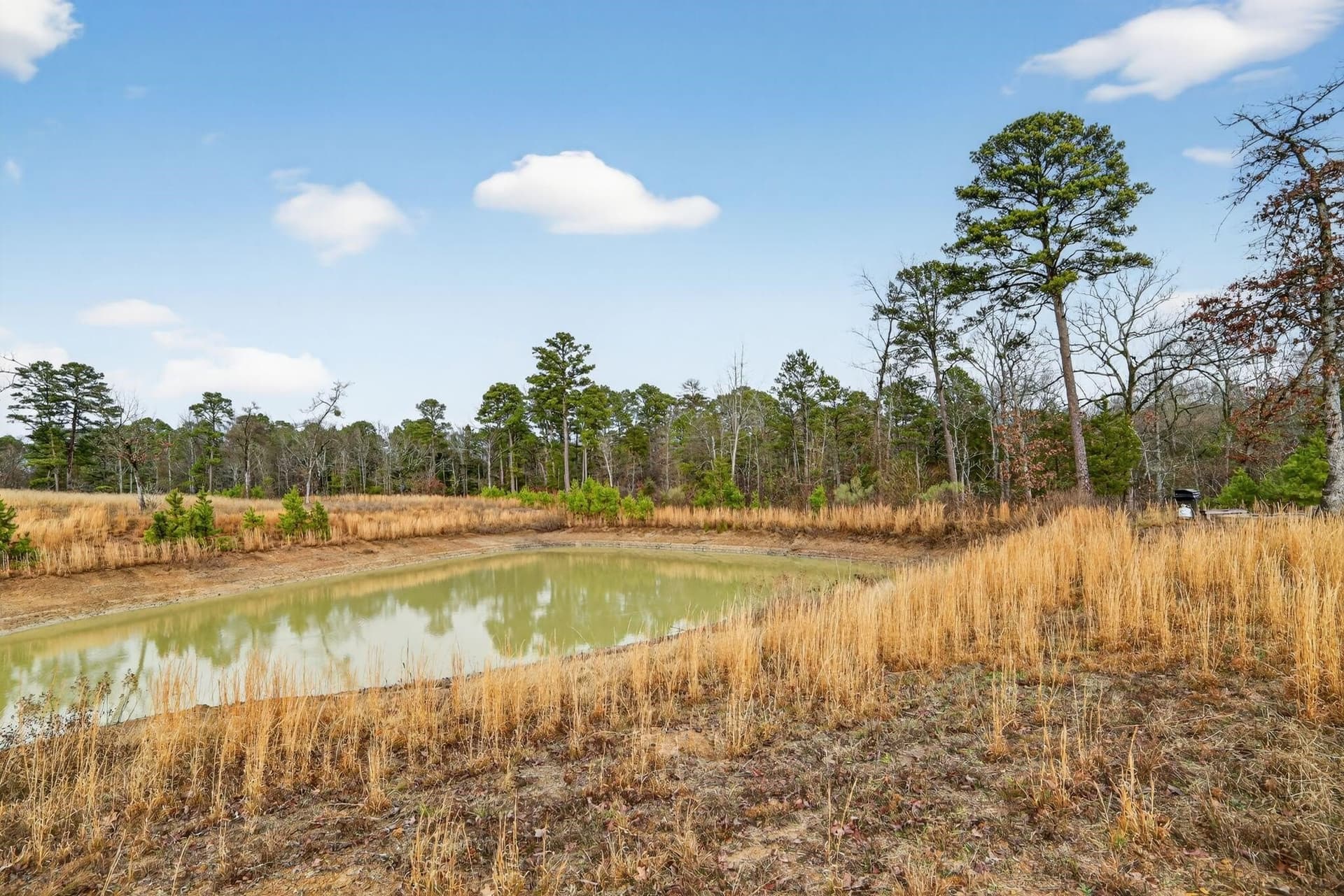 3.84 acres in Wood County - photo 30