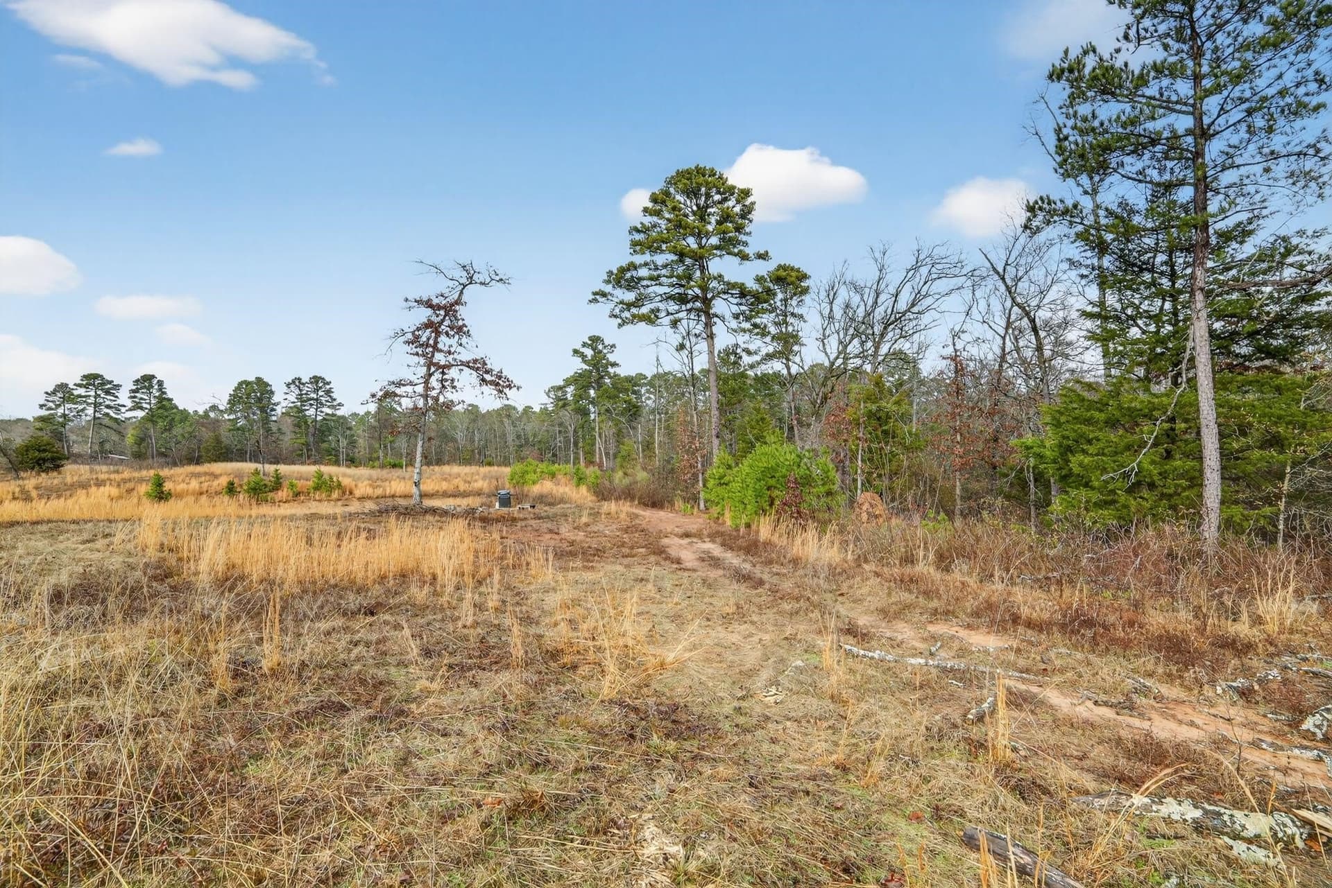 3.84 acres in Wood County - photo 31