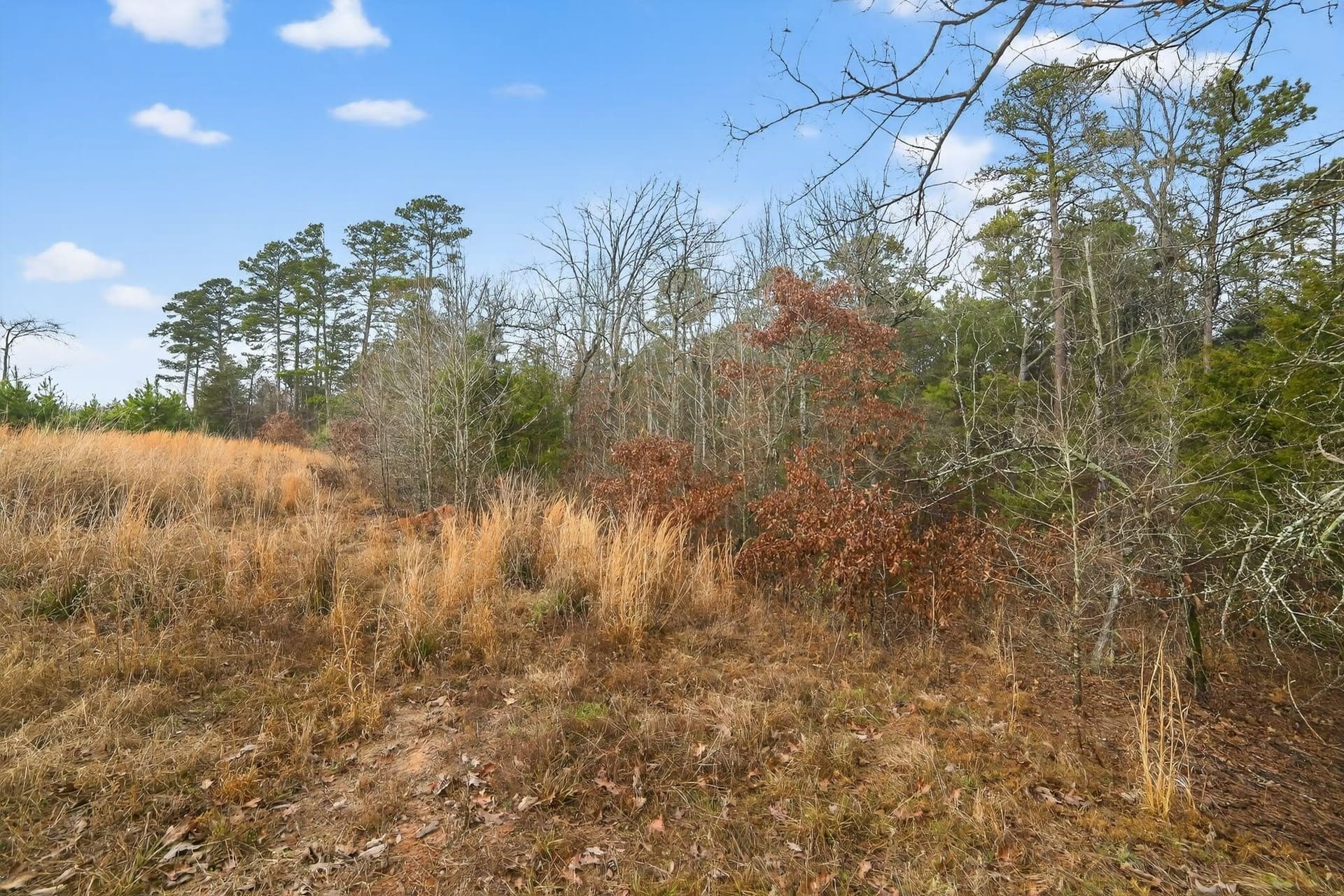 3.84 acres in Wood County - photo 9