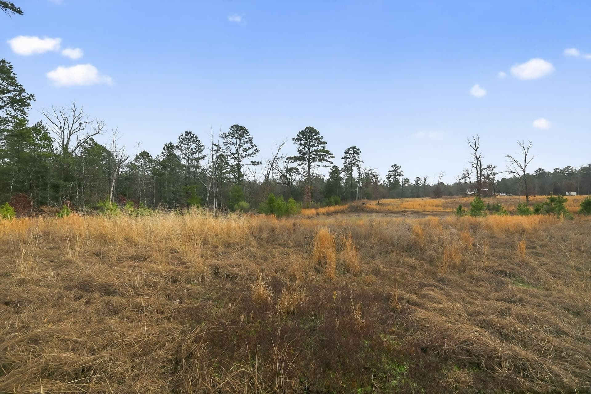 3.84 acres in Wood County - photo 16