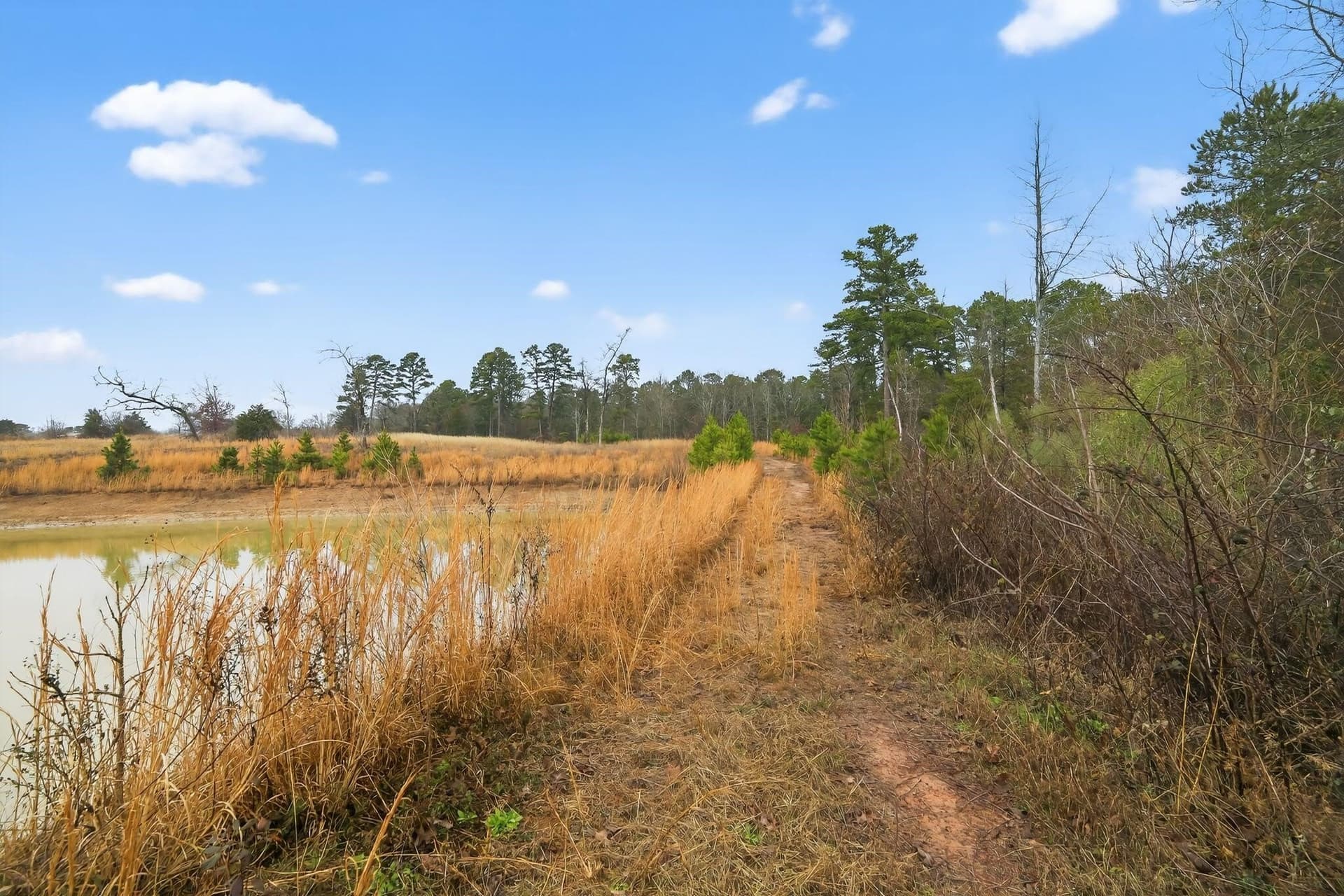 3.84 acres in Wood County - photo 22