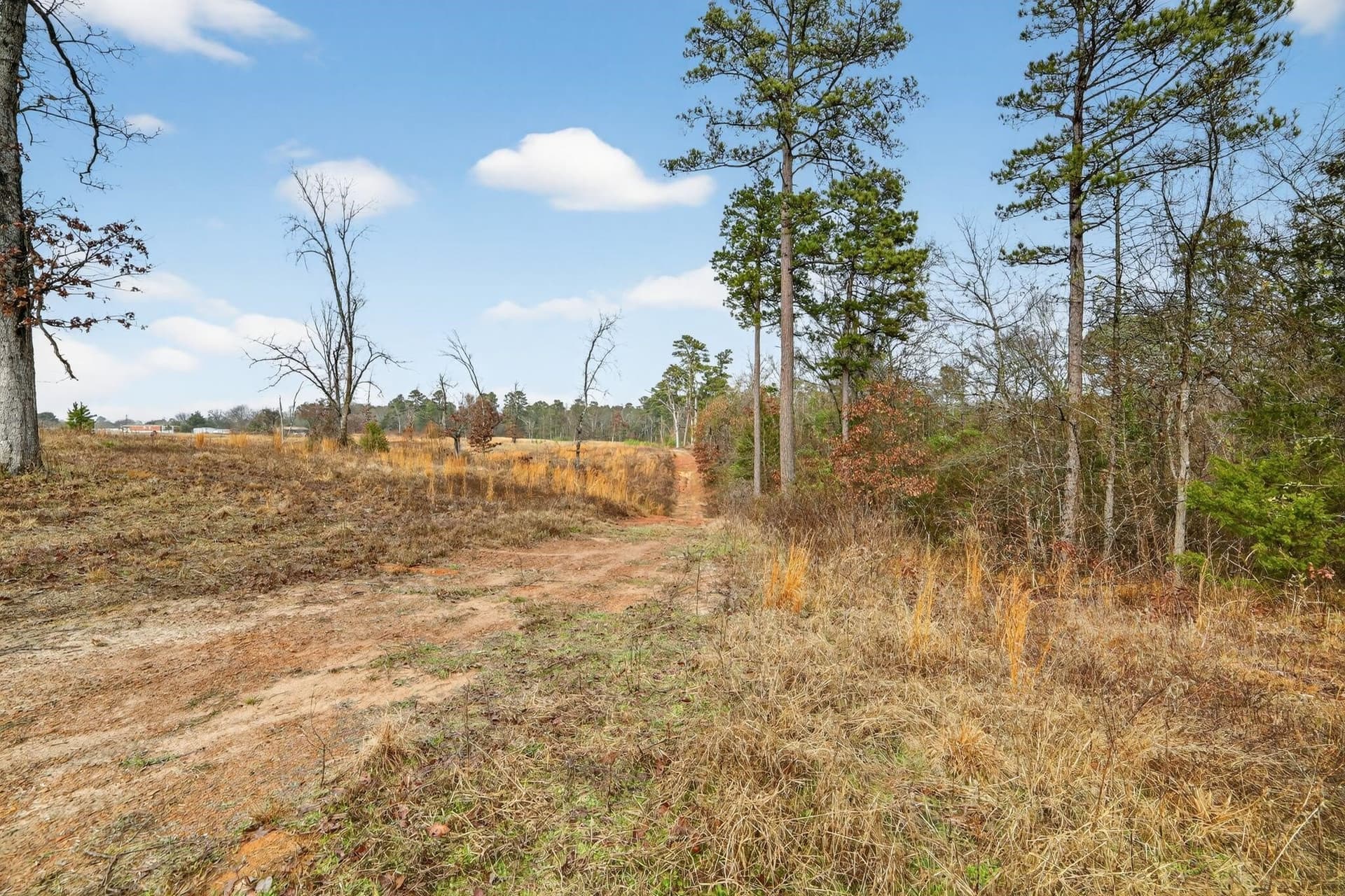 3.84 acres in Wood County - photo 29