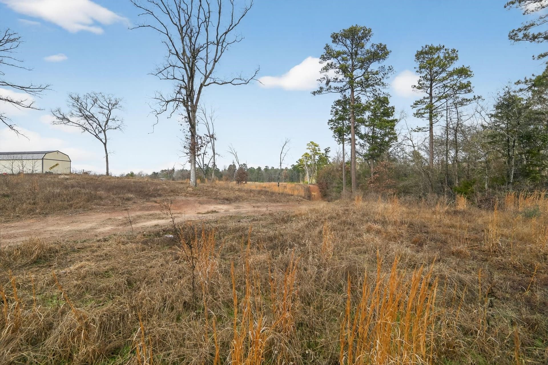 3.84 acres in Wood County - photo 25