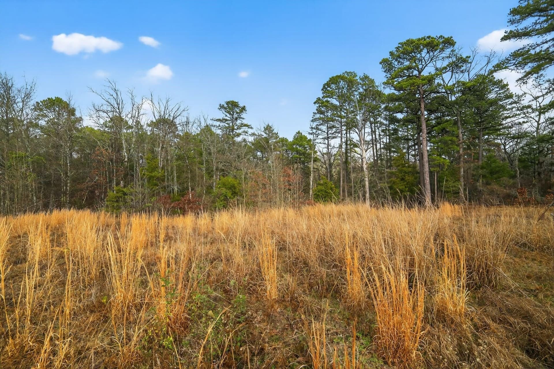 3.84 acres in Wood County - photo 10