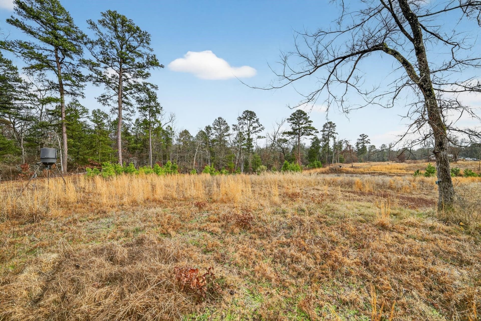 3.84 acres in Wood County - photo 28