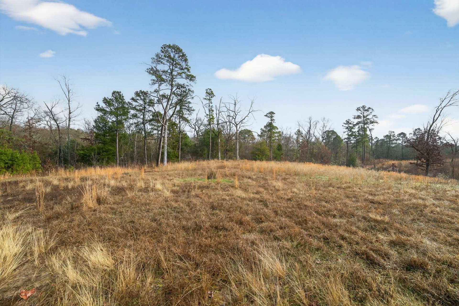 3.84 acres in Wood County - photo 17