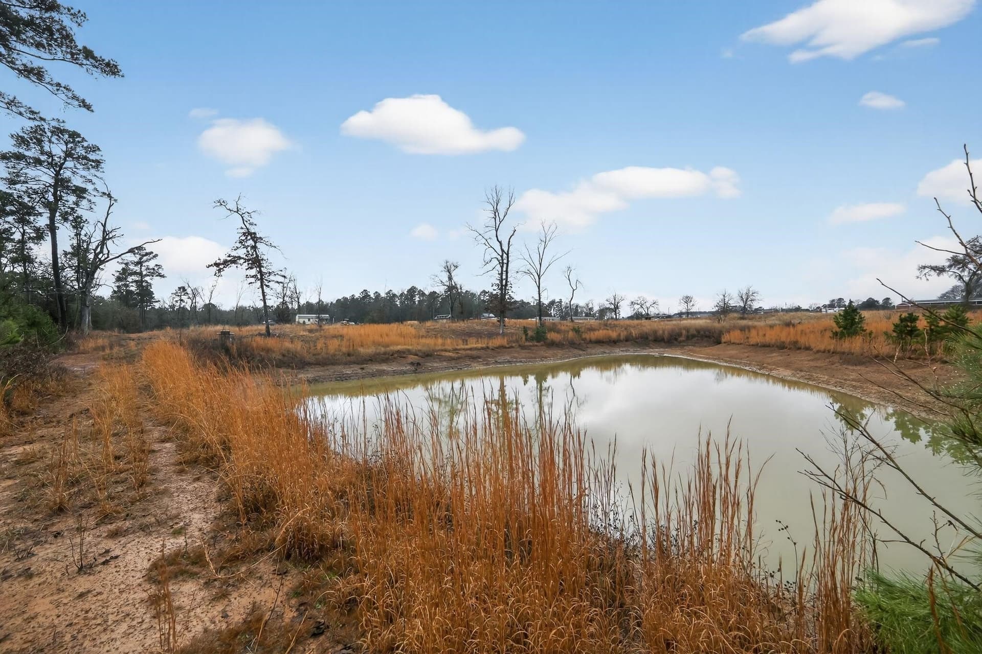 3.84 acres in Wood County - photo 8