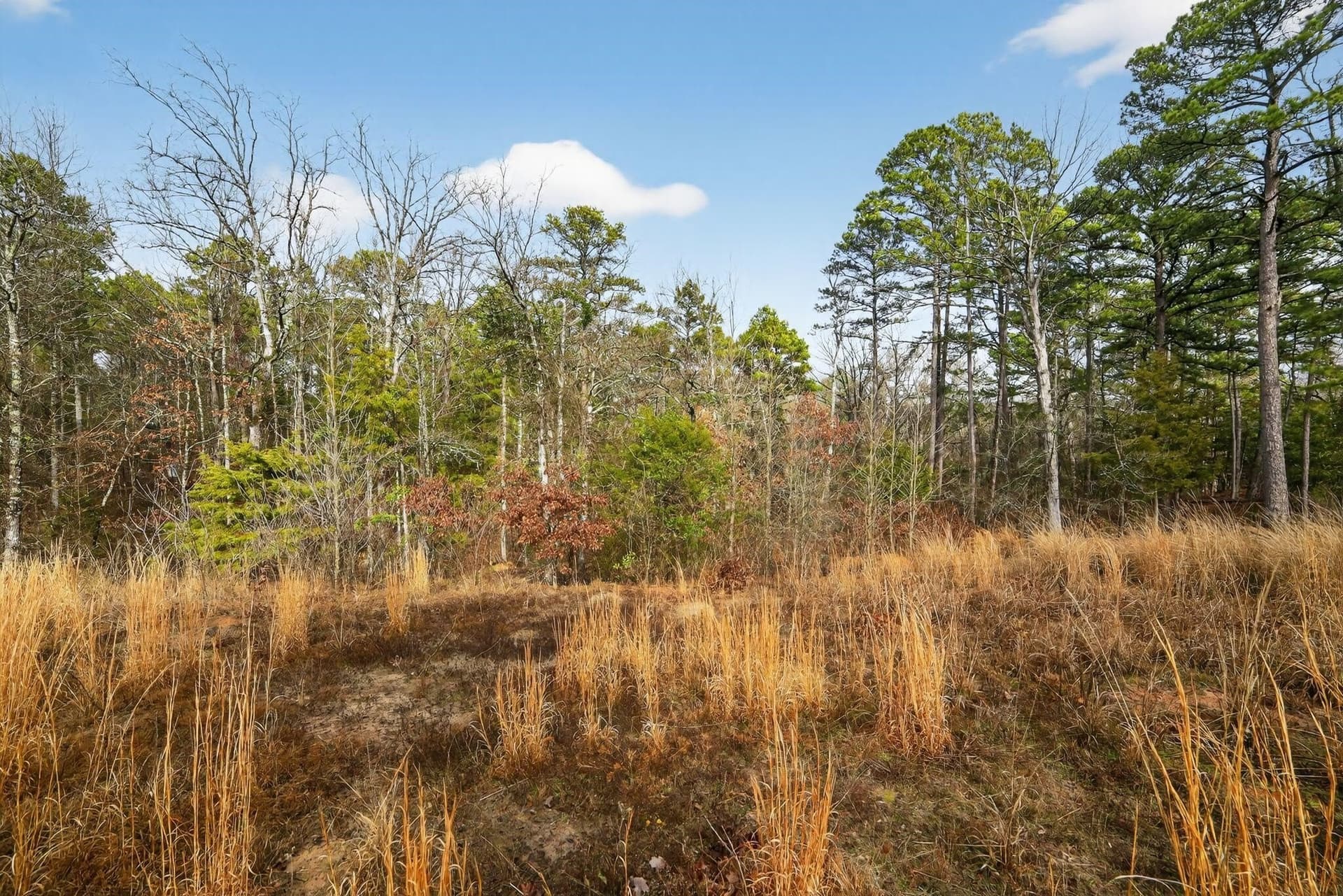 3.84 acres in Wood County - photo 7