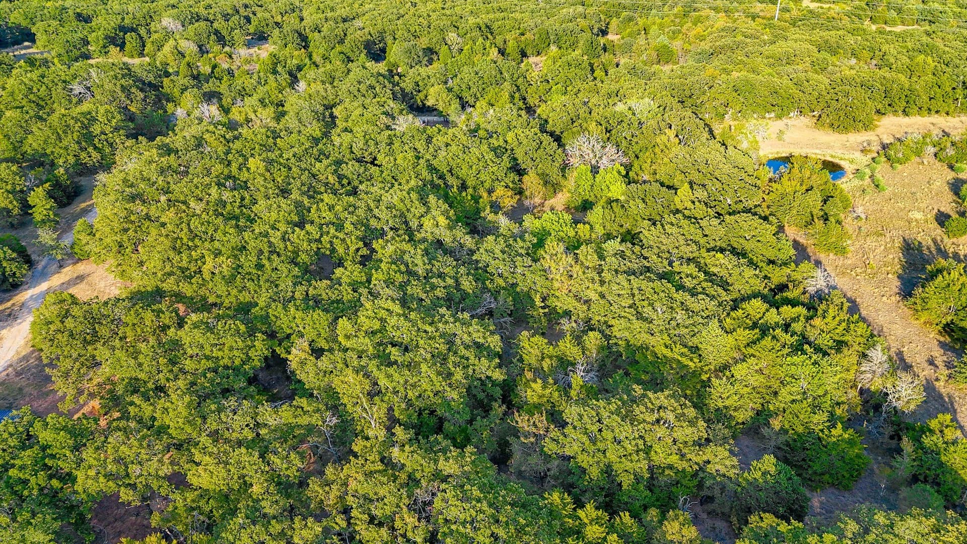 13.1 acres in Navarro County - photo 19