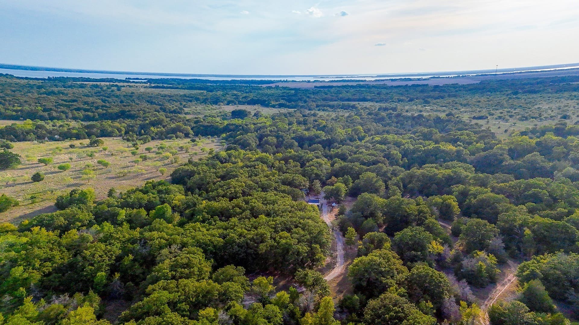 13.1 acres in Navarro County - photo 25