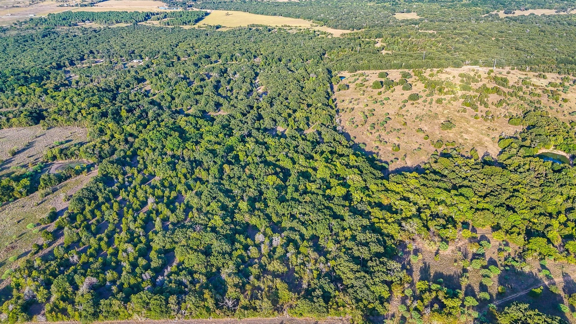 13.1 acres in Navarro County - photo 8
