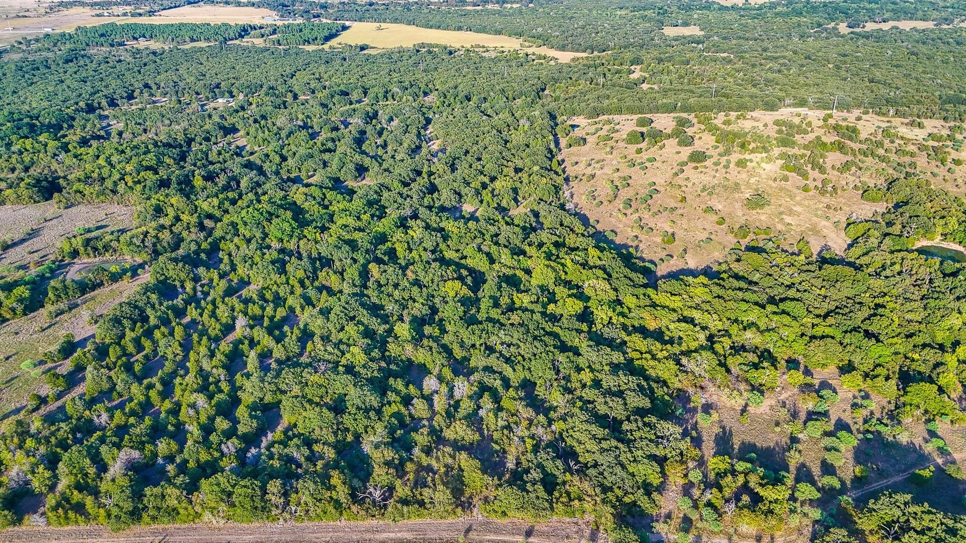 13.1 acres in Navarro County - photo 9