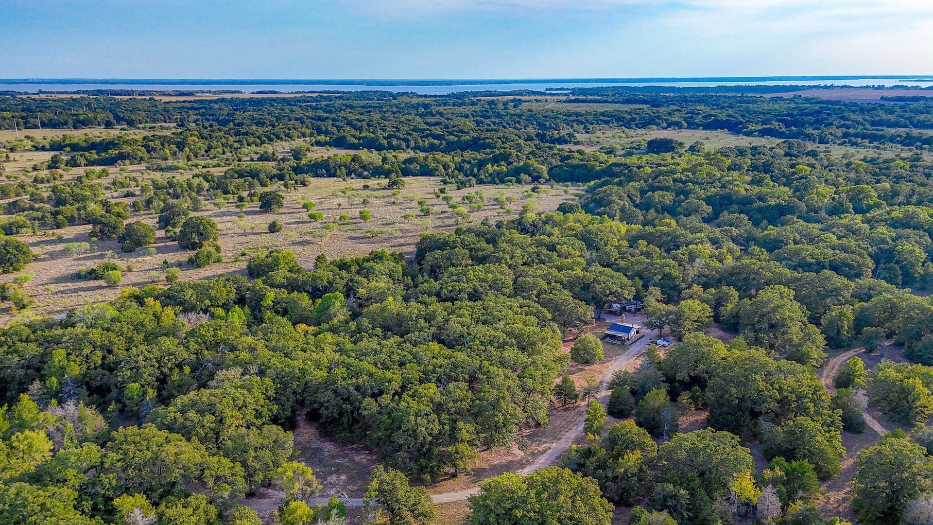 13.1 acres in Navarro County - photo 22