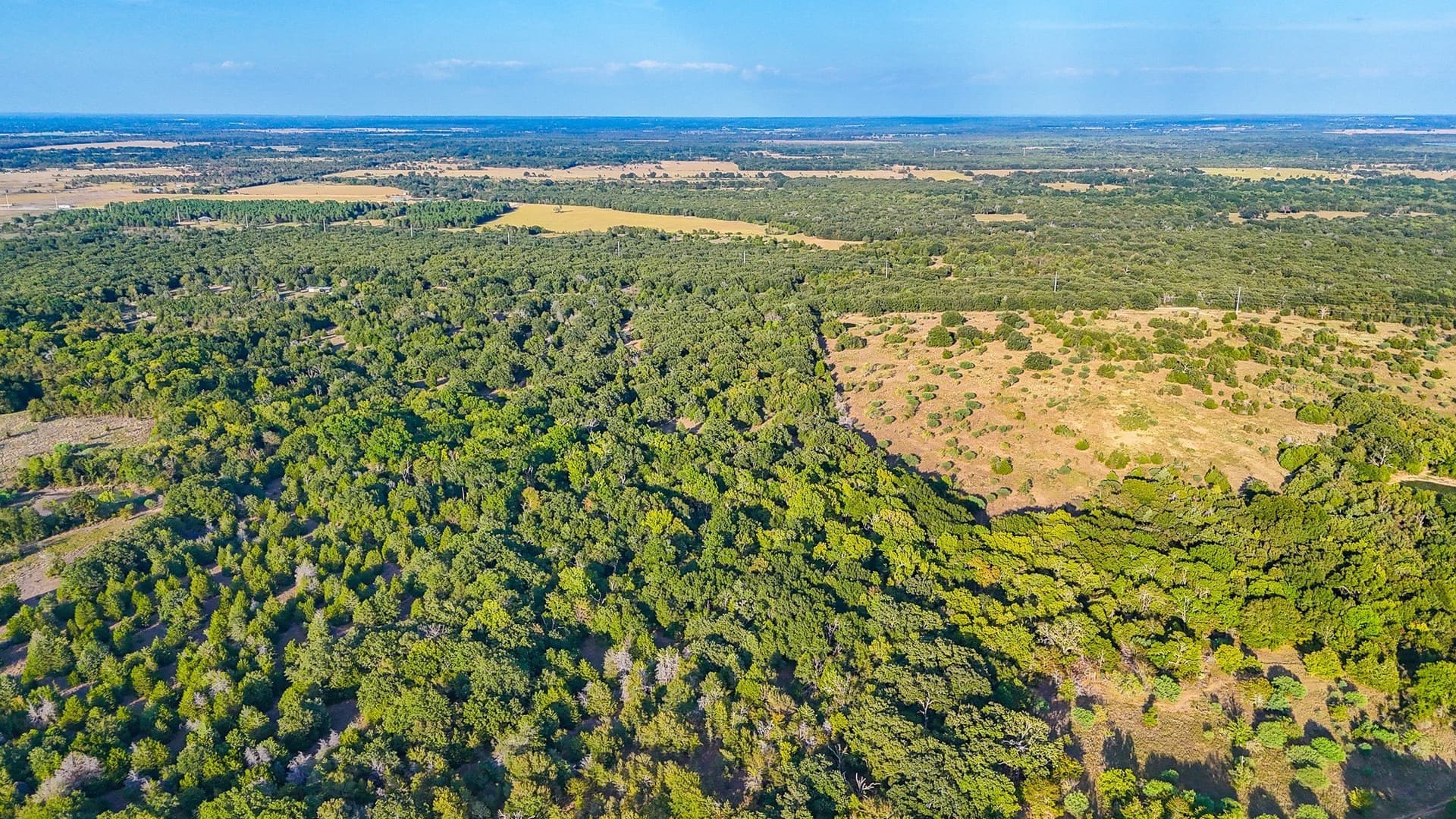 13.1 acres in Navarro County - photo 11