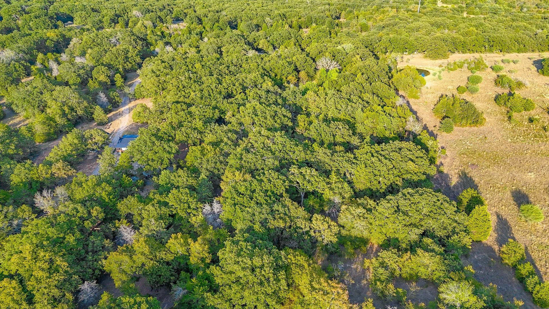13.1 acres in Navarro County - photo 18