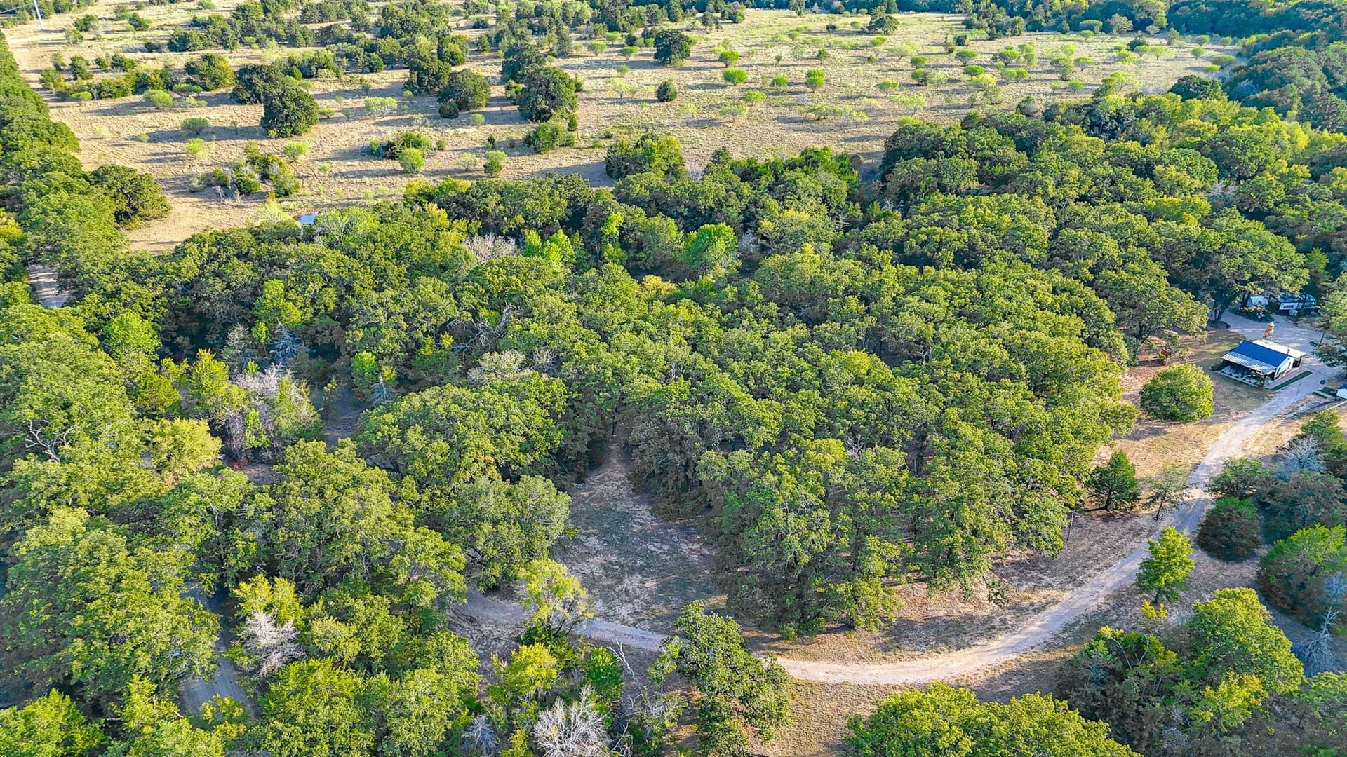 13.1 acres in Navarro County - photo 20