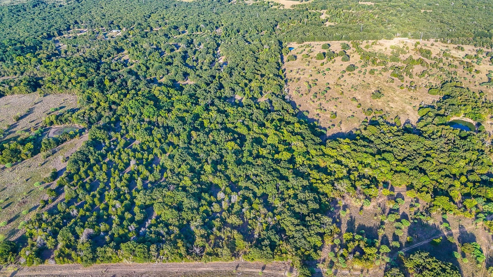 13.1 acres in Navarro County - photo 6