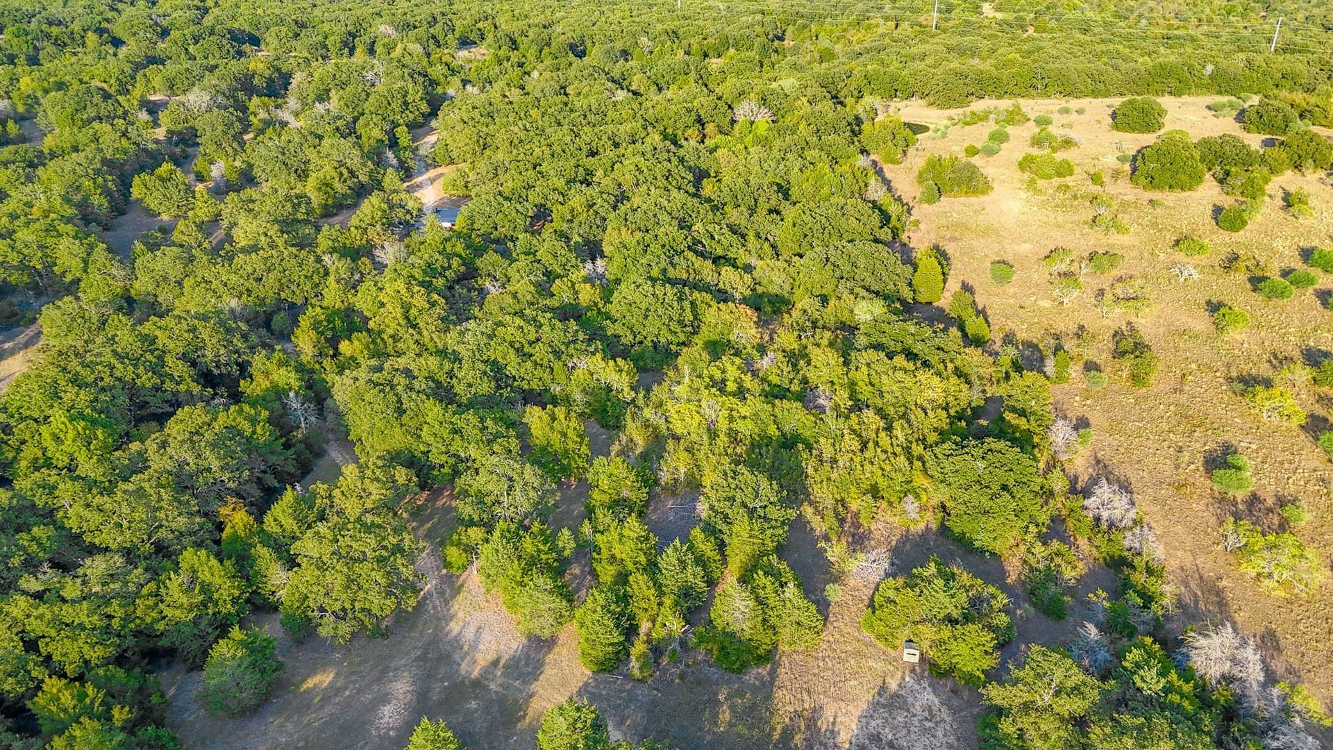 13.1 acres in Navarro County - photo 17