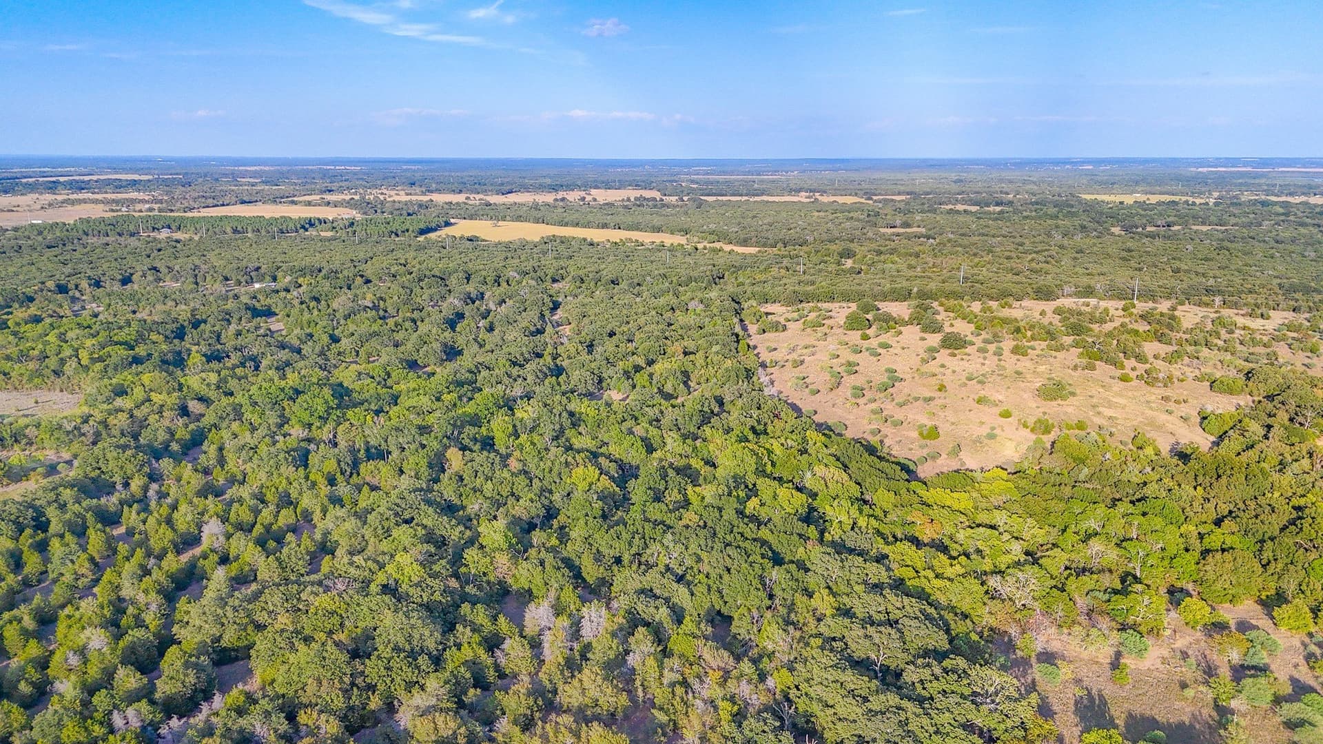 13.1 acres in Navarro County - photo 13