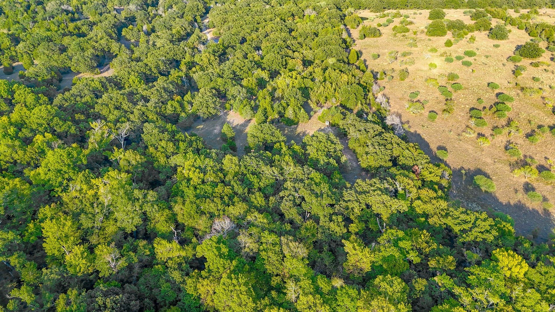 13.1 acres in Navarro County - photo 16