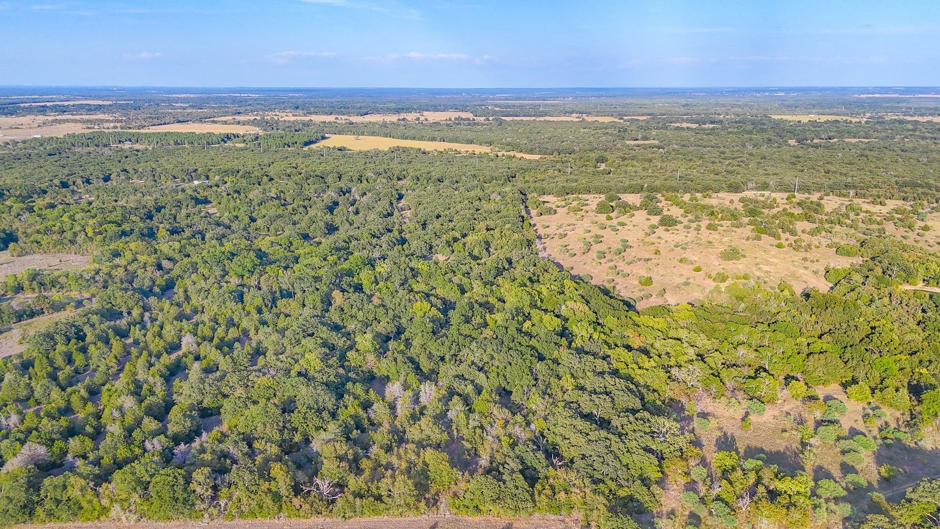 13.1 acres in Navarro County - photo 12