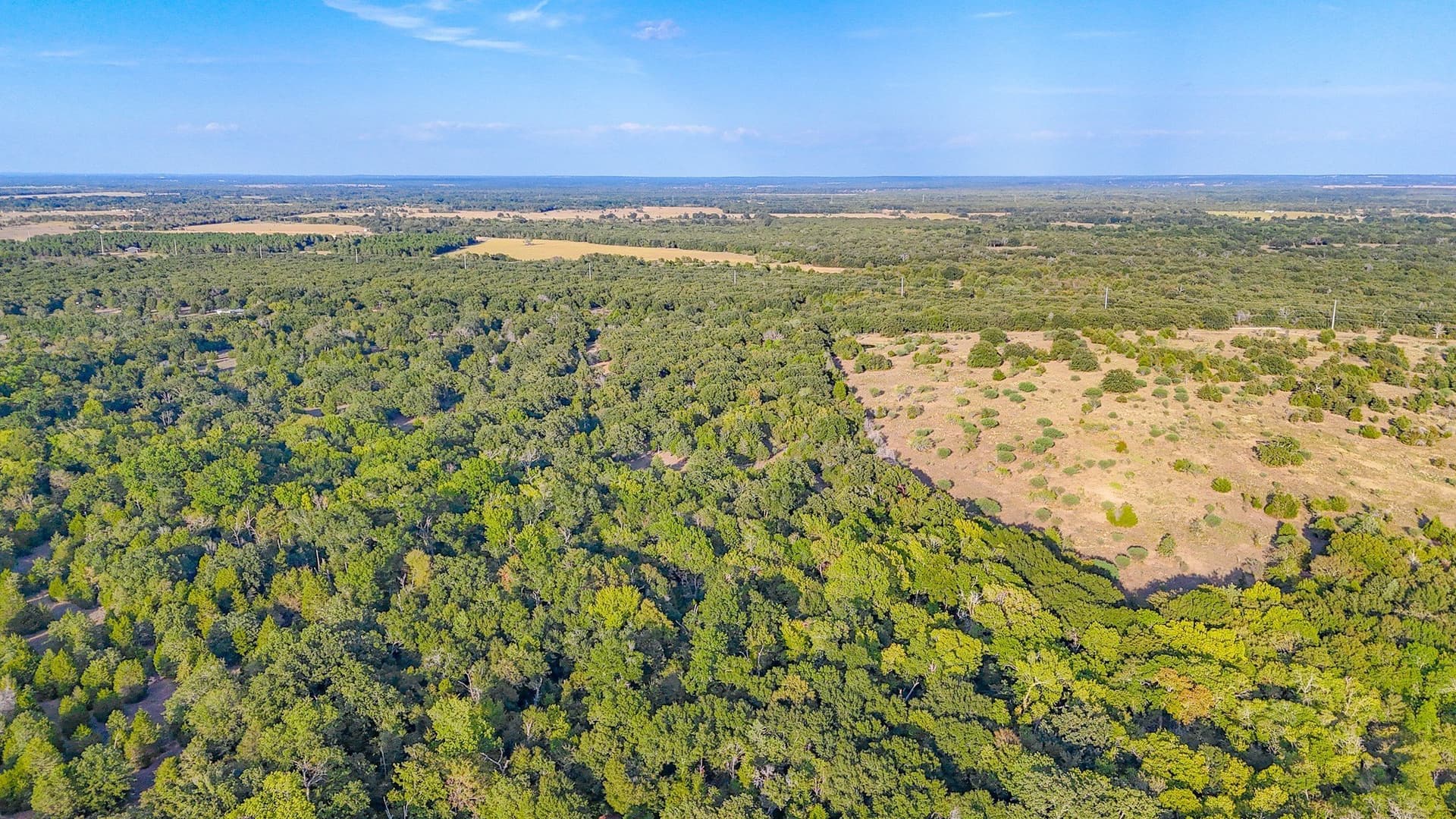 13.1 acres in Navarro County - photo 14