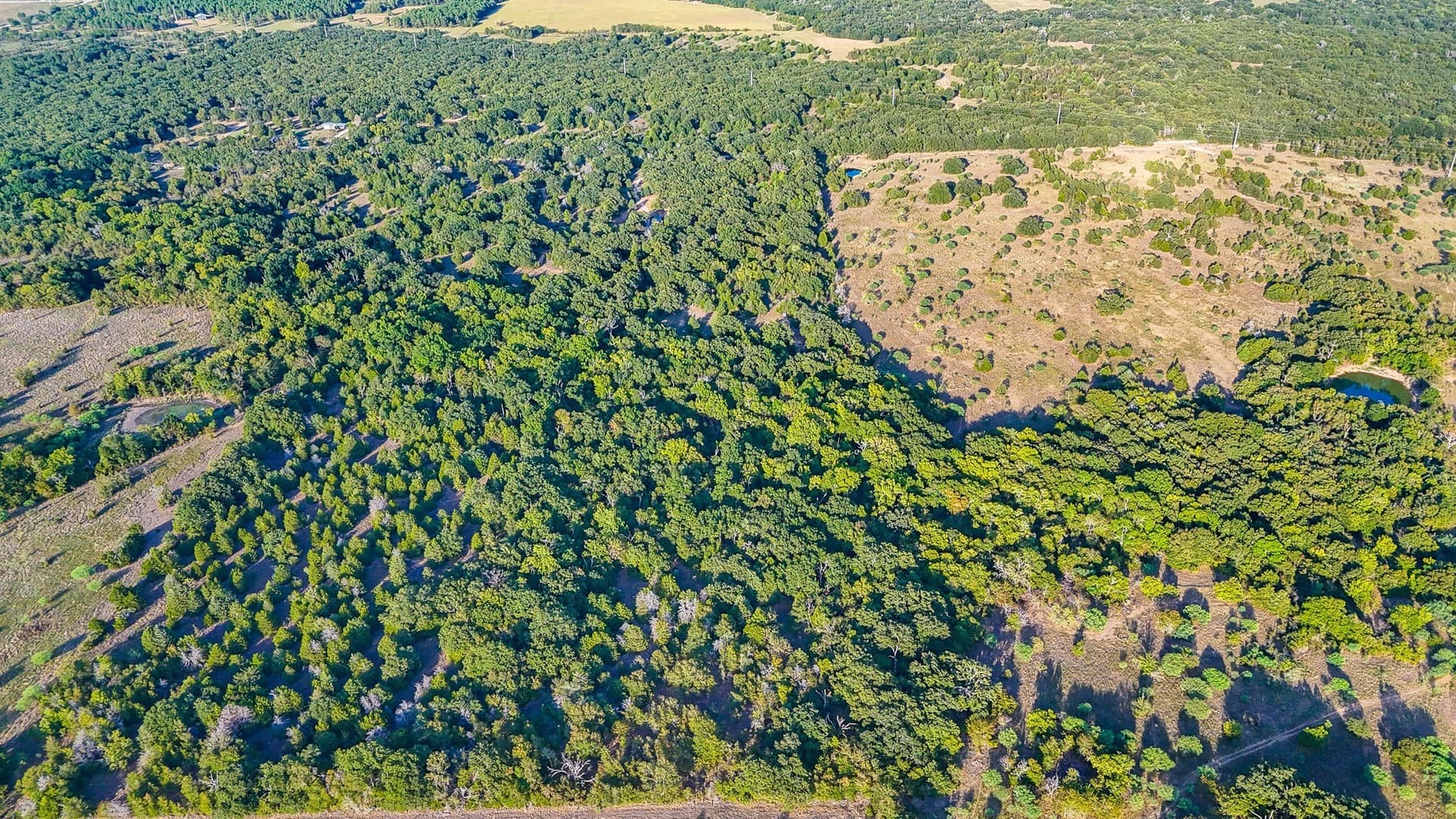 13.1 acres in Navarro County - photo 7