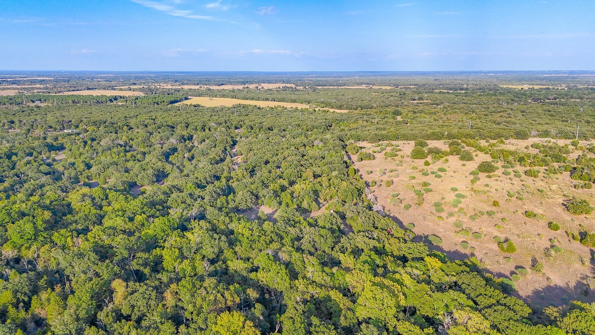 13.1 acres in Navarro County - photo 15