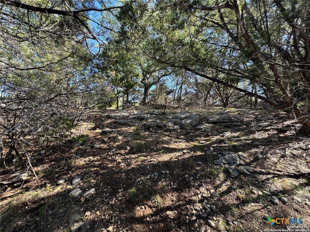 0.65 acres in Comal County gallery image 3