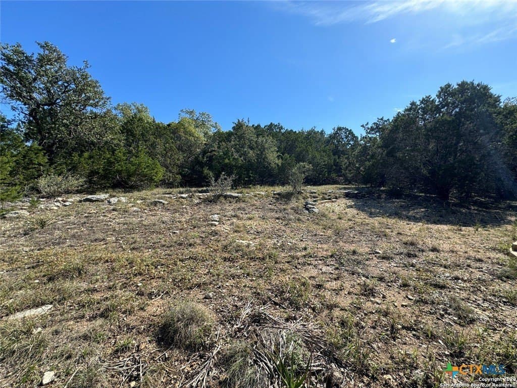 0.65 acres in Comal County gallery image 2