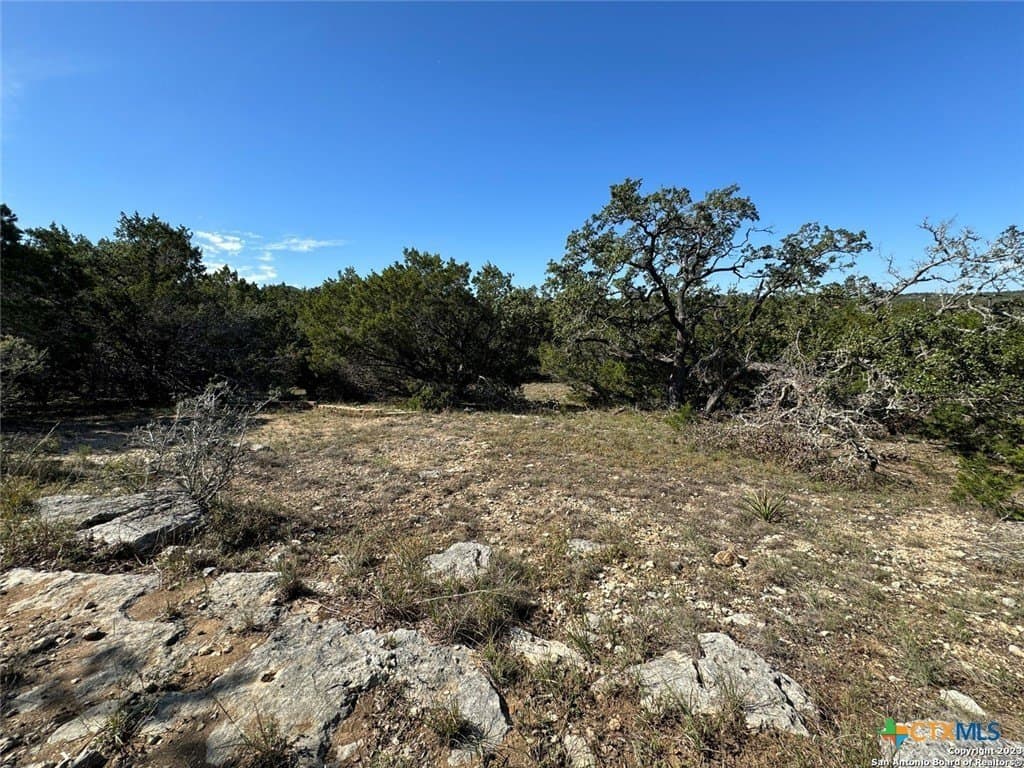 0.65 acres in Comal County gallery image 4