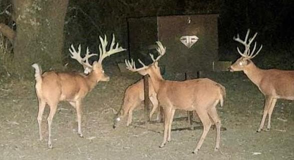 261.24 acres in Comanche County