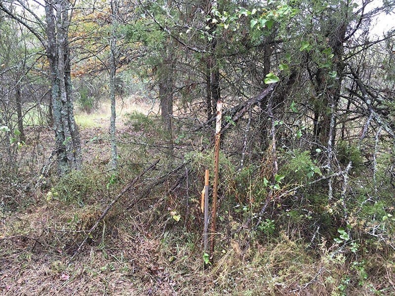 8.39 acres in Rains County - photo 12