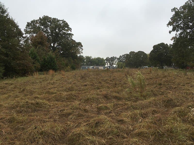 8.39 acres in Rains County - photo 6