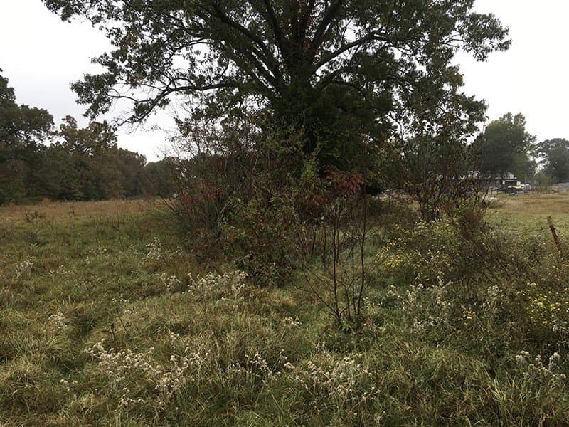 8.39 acres in Rains County - photo 4