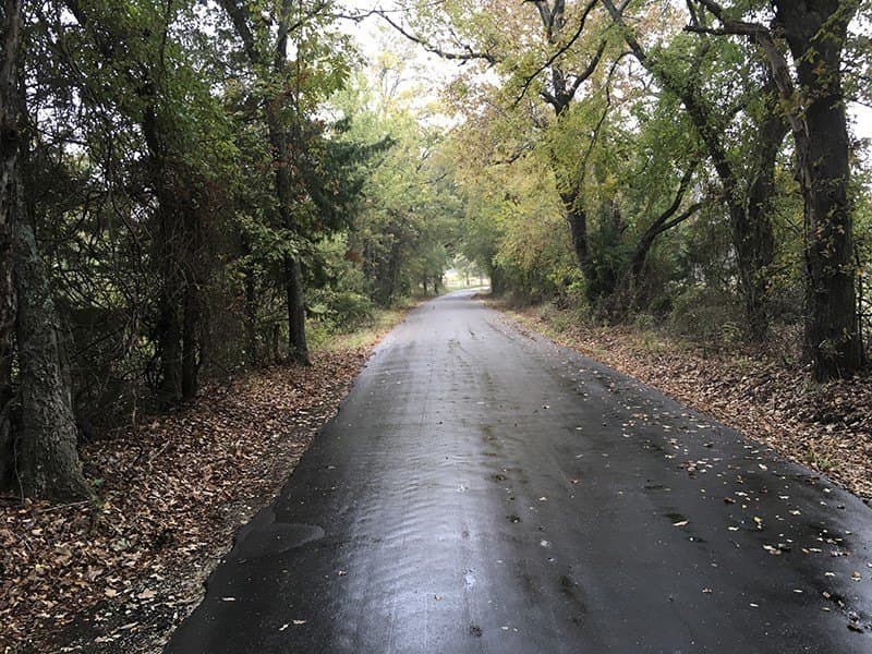 8.39 acres in Rains County