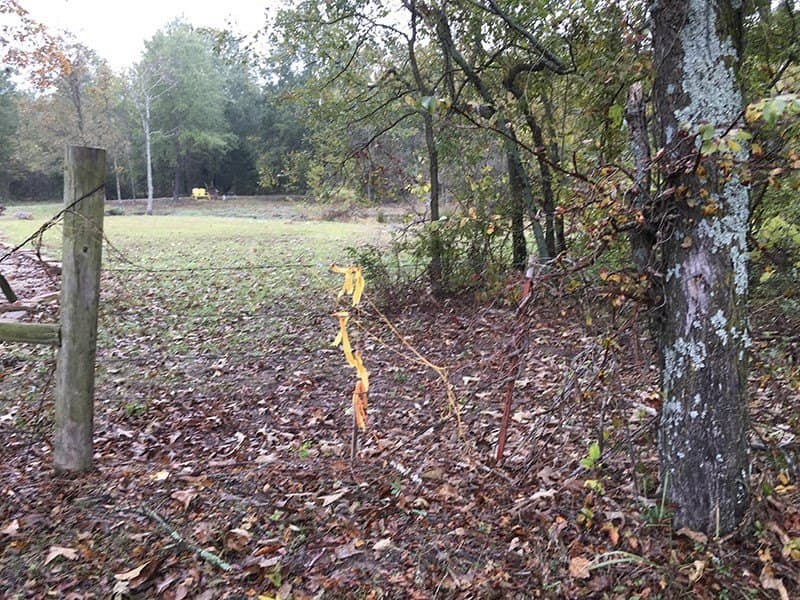 8.39 acres in Rains County - photo 8