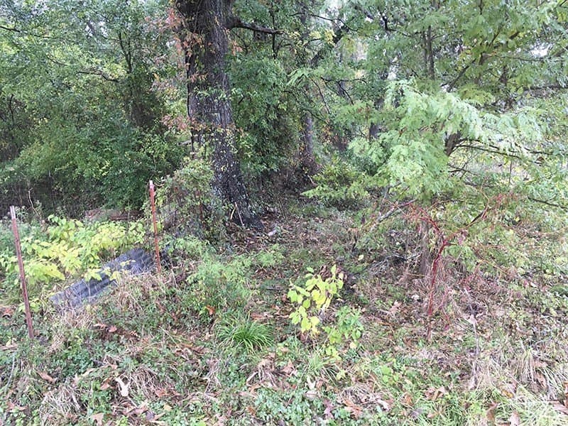8.39 acres in Rains County - photo 13